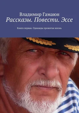 Владимир Гамаюн Рассказы. Повести. Эссе. Книга первая. Однажды прожитая жизнь обложка книги