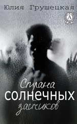 Юлия Грушецкая - Страна солнечных зайчиков