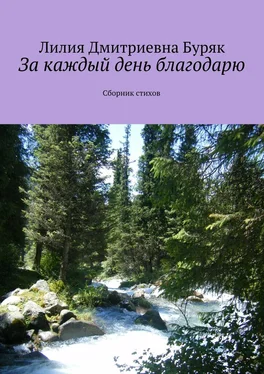 Лилия Буряк За каждый день благодарю. Сборник стихов обложка книги