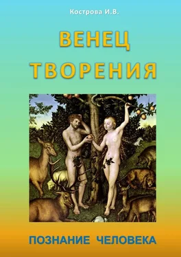 Ирина Кострова Венец творения. Познание человека обложка книги