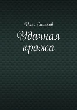 Илья Синяков Удачная кража обложка книги