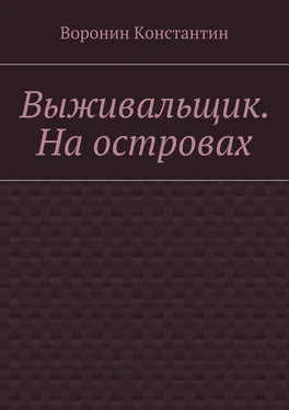 Константин Воронин Выживальщик. На островах обложка книги