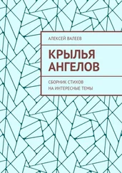Алексей Валеев - Крылья ангелов. Сборник стихов на интересные темы