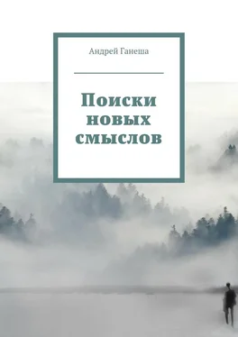 Андрей Ганеша Поиски новых смыслов обложка книги