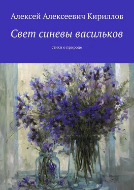 Алексей Кириллов Свет синевы васильков. Стихи о природе обложка книги