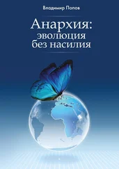 Владимир Попов - Анархия - эволюция без насилия