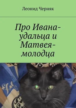 Леонид Черняк Про Ивана-удальца и Матвея-молодца обложка книги