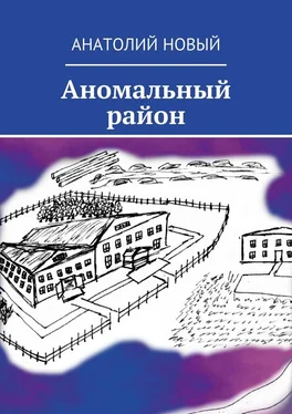 Анатолий Новый Аномальный район обложка книги