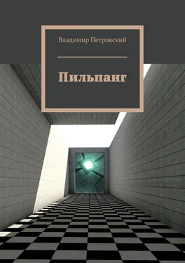 Владимир Петровский Пильпанг обложка книги