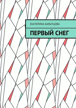 Екатерина Карытцова Первый снег обложка книги