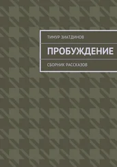 Тимур Зиатдинов - Пробуждение. Сборник рассказов