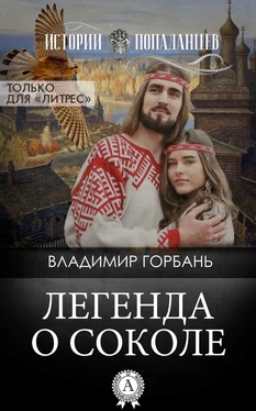 Владимир Горбань Легенда о Соколе обложка книги