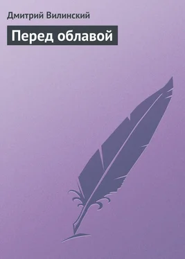Дмитрий Вилинский Перед облавой обложка книги