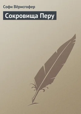 Софи Вёрисгофер Сокровища Перу обложка книги