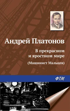 Андрей Платонов В прекрасном и яростном мире обложка книги