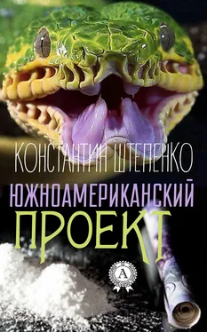 Константин Штепенко Южноамериканский проект обложка книги