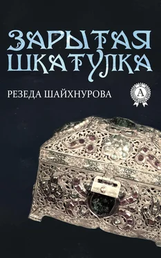 Резеда Шайхнурова Зарытая шкатулка обложка книги