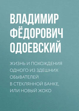 Владимир Одоевский Жизнь и похождения одного из здешних обывателей в стеклянной банке, или Новый Жоко обложка книги