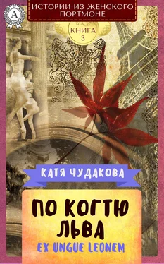 Катя Чудакова По когтю льва обложка книги