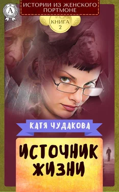 Катя Чудакова Источник жизни обложка книги