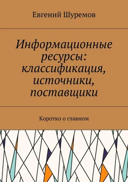 Евгений Шуремов Информационные ресурсы: классификация, источники, поставщики. Коротко о главном обложка книги