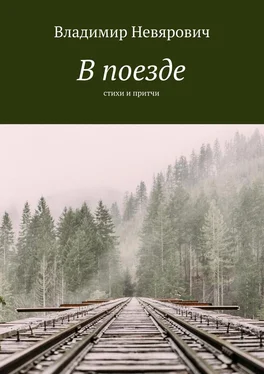 Владимир Невярович В поезде. Стихи и притчи обложка книги