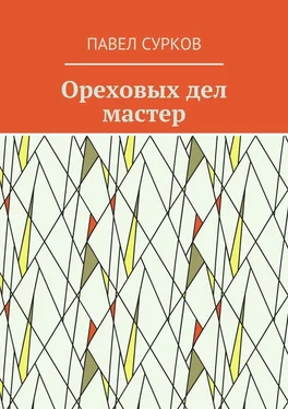 Павел Сурков Ореховых дел мастер обложка книги