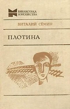 Виталий Сёмин Нагрудный знак «OST». Плотина обложка книги