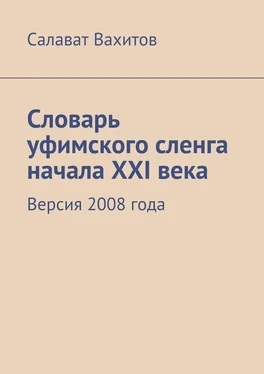 Салават Вахитов Словарь уфимского сленга начала XXI века. Версия 2008 года обложка книги