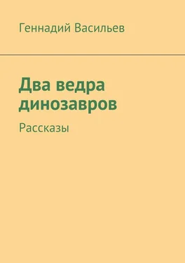 Геннадий Васильев Два ведра динозавров. Рассказы обложка книги