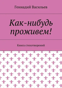 Геннадий Васильев Как-нибудь проживем! Книга стихотворений обложка книги