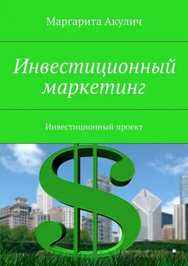 Маргарита Акулич Инвестиционный маркетинг. Инвестиционный проект обложка книги