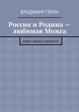 Владимир Герун Россия и Родина – любимая Можга. Север, Можга и Воркута обложка книги