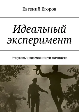 Евгений Егоров Идеальный эксперимент. Стартовые возможности личности обложка книги