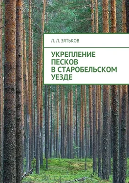 Леонид Зятьков Укрепление песков в Старобельском уезде обложка книги