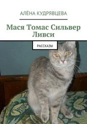 Алёна Кудрявцева - Мася Томас Сильвер Ливси. Рассказы