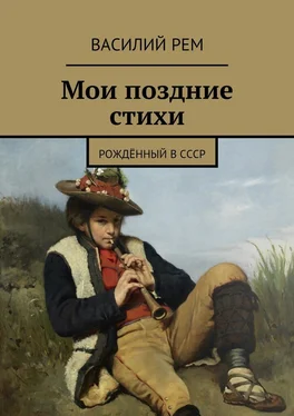 Василий Рем Мои поздние стихи. Рождённый в СССР обложка книги