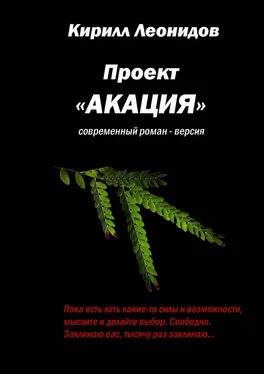 Кирилл Леонидов Проект «Акация». Современный роман-версия