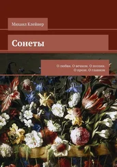Михаил Клейнер - Сонеты. О любви. О вечном. О поэзии. О прозе. О главном