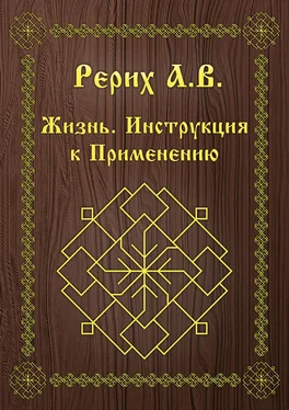 А. Рерих Жизнь. Инструкция к применению обложка книги