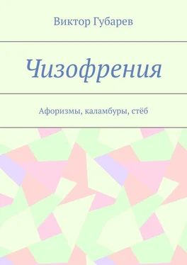 Виктор Губарев Чизофрения. Афоризмы, каламбуры, стёб обложка книги