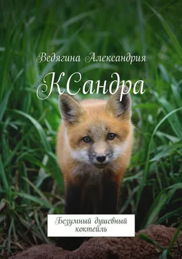 Александрия Ведягина КСандра. Безумный душевный коктейль обложка книги