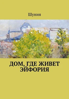 Шуния Дом, где живет эйфория обложка книги