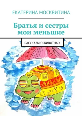 Екатерина Москвитина Братья и сестры мои меньшие. Рассказы о животных обложка книги