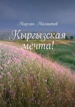 Мирлан Мамытов Кыргызская мечта! обложка книги