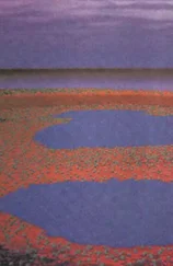 Знание-сила, 1997 № 05 (839)