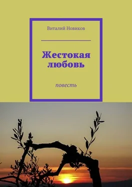 Виталий Новиков Жестокая любовь. Повесть обложка книги