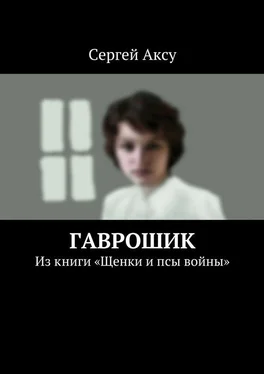 Сергей Аксу Гаврошик. Из книги «Щенки и псы войны»