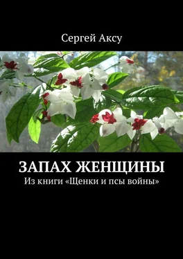 Сергей Аксу Запах женщины. Из книги «Щенки и псы войны» обложка книги