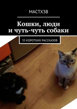 MACTX3B Кошки, люди и чуть-чуть собаки. 55 коротких рассказов обложка книги